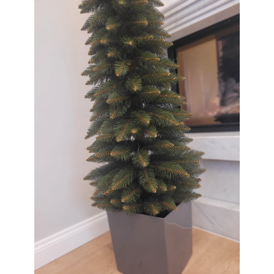 Choinka Świerk Zakopiański Super slim  Premium w donicy